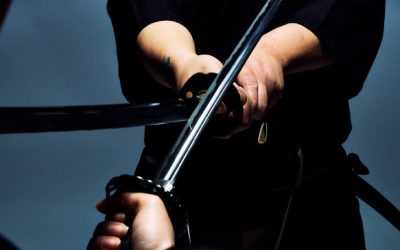 Total Ryu Martial Arts